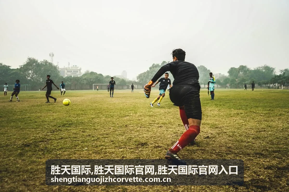 胜天国际常见问题与页面导航说明